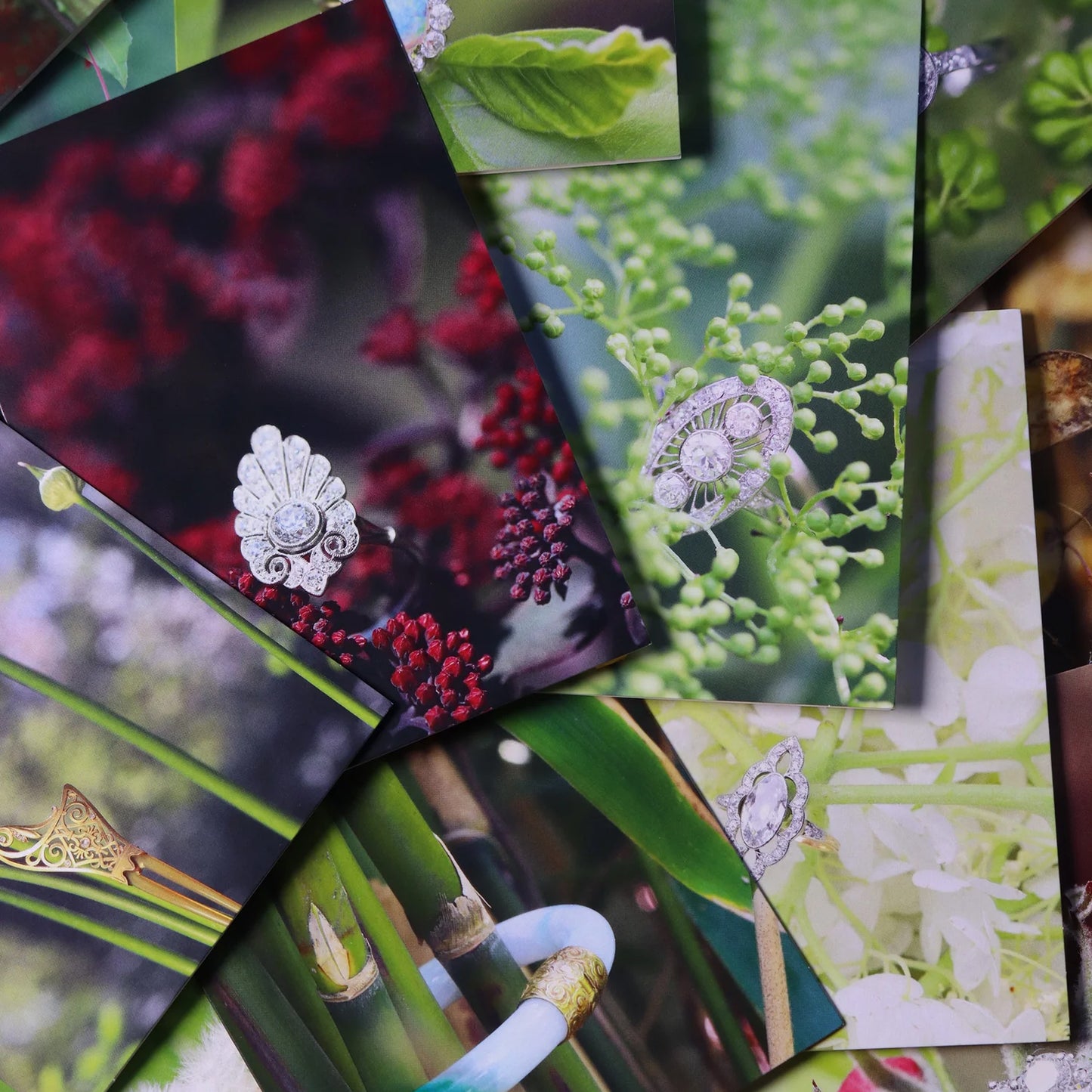 Greeting Card Set